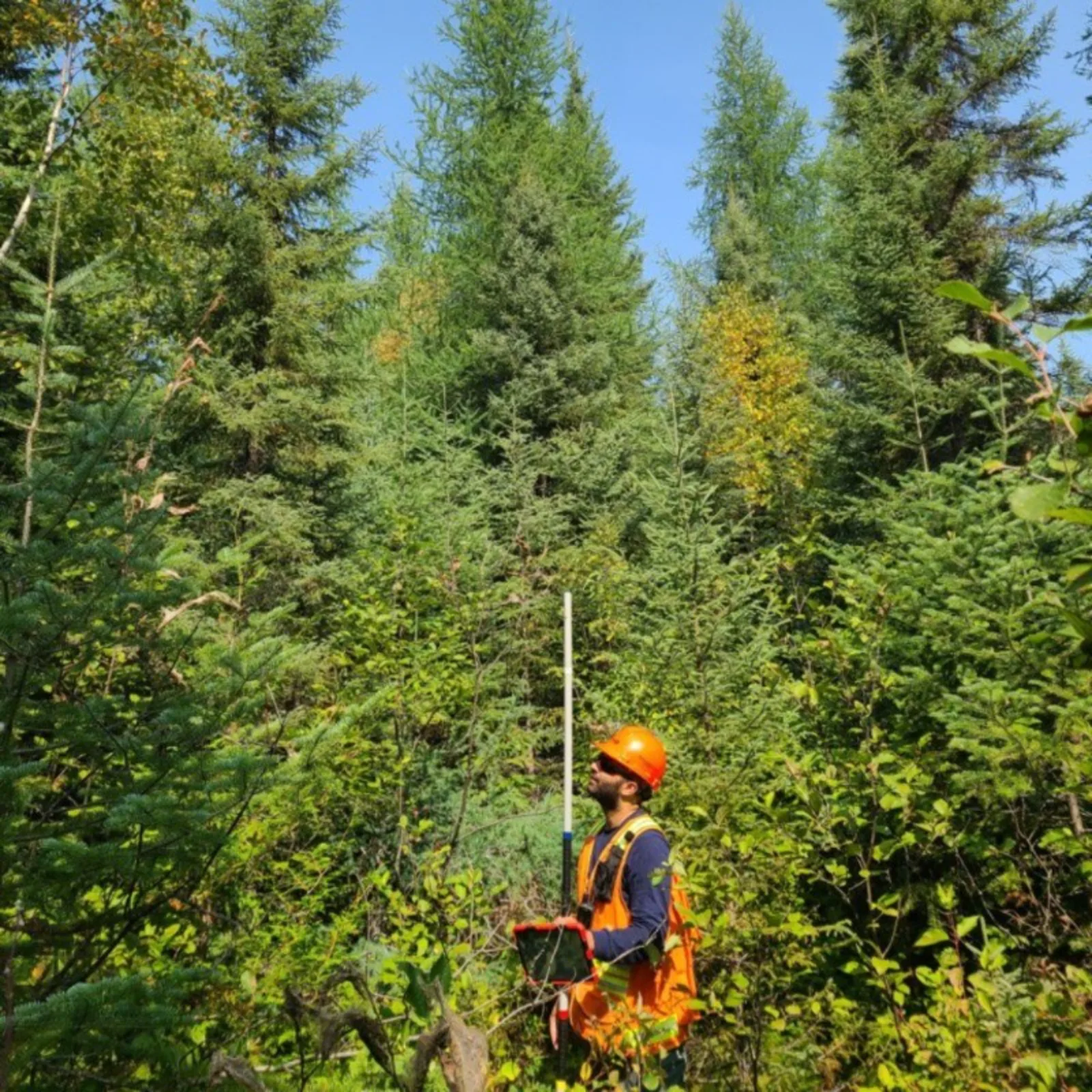 Asad Choudhry conducting a forest field survey